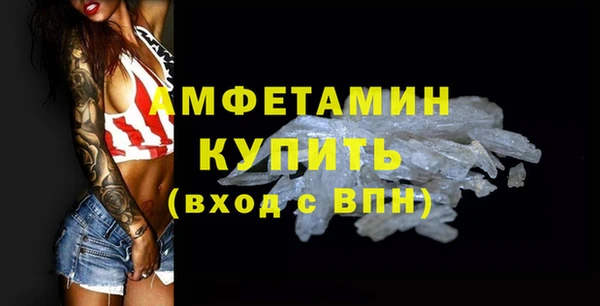 твердый Краснослободск