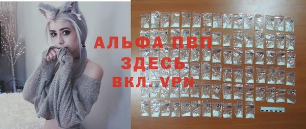 твердый Краснослободск