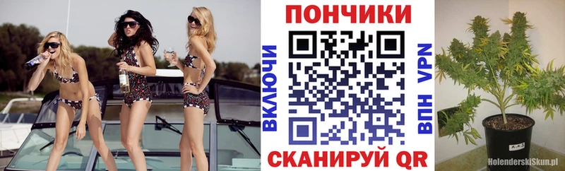 Марихуана сатива  Купить где  Белёв 